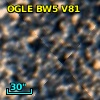 OGLE BW5 V81