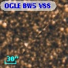 OGLE BW5 V88