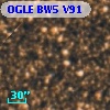 OGLE BW5 V91
