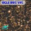 OGLE BW5 V95