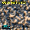 OGLE BW5 V113