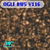 OGLE BW5 V116