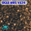 OGLE BW5 V124