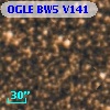 OGLE BW5 V141
