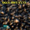 OGLE BW5 V173