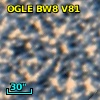 OGLE BW8 V81