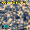 OGLE BW8 V113