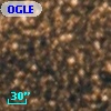 OGLE BW5 V49