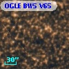OGLE BW5 V65