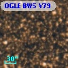 OGLE BW5 V79
