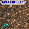 OGLE BW9 V132