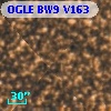 OGLE BW9 V163