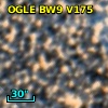 OGLE BW9 V175