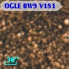 OGLE BW9 V181
