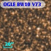 OGLE BW10 V73