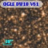 OGLE BW10 V81