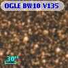 OGLE BW10 V135