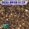 OGLE BW10 V229