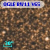 OGLE BW11 V65