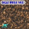 OGLE BW11 V81