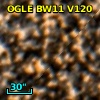 OGLE BW11 V120
