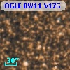 OGLE BW11 V175