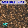 OGLE BW11 V177