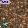 OGLE BW9 V10