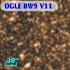OGLE BW9 V11