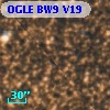 OGLE BW9 V19