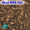 OGLE BW9 V41
