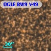 OGLE BW9 V49