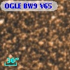 OGLE BW9 V65