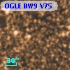 OGLE BW9 V75