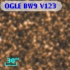 OGLE BW9 V123