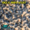 OGLE BW9 V187