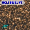 OGLE BW11 V5