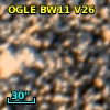 OGLE BW11 V26