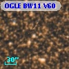 OGLE BW11 V60