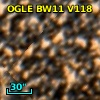 OGLE BW11 V118
