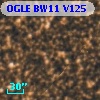 OGLE BW11 V125