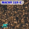 MACHO 119-C