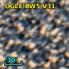 OGLE BW5 V31