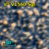 V* V1560 Sgr