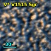 V* V1515 Sgr
