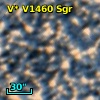 V* V1460 Sgr