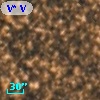 V* V1459 Sgr