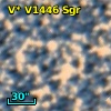 V* V1446 Sgr