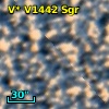 V* V1442 Sgr