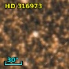 HD 316973